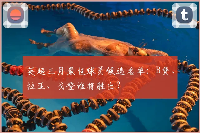 英超三月最佳球员候选名单:B费、拉亚、戈登谁将胜出?