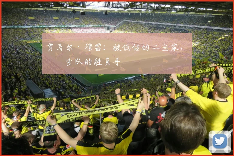 贾马尔·穆雷：被低估的二当家，掘金队的胜负手