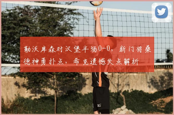 勒沃库森对汉堡半场0-0,新门将桑德神勇扑点,希克遗憾失点解析